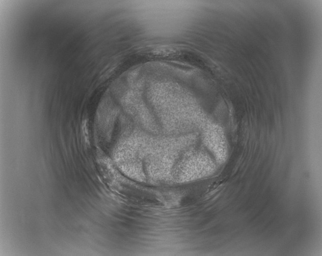 X0000064051394200602171658