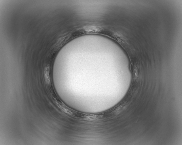 X0000064051396200602171658