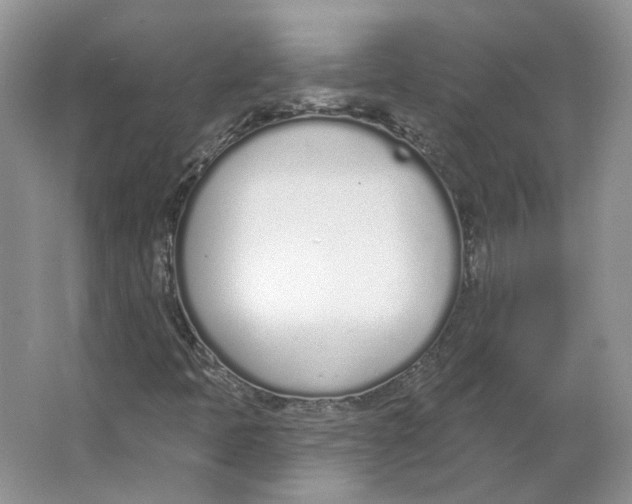 X0000064051397200602171658