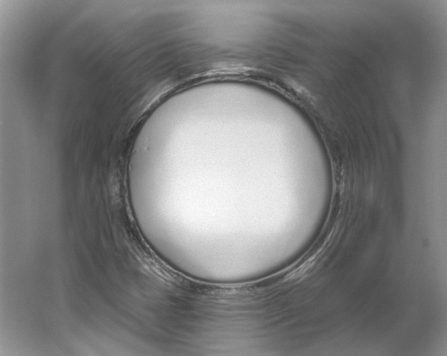 X0000064051401200602171658