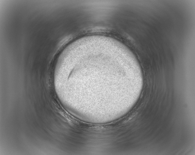 X0000064051405200602171658