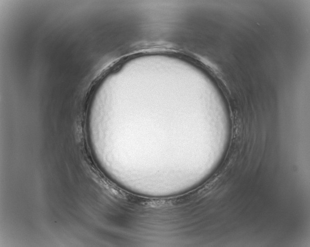 X0000064051407200602171658