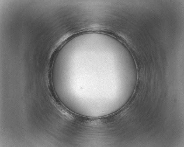 X0000064051410200602171658