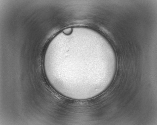 X0000064051411200602171658