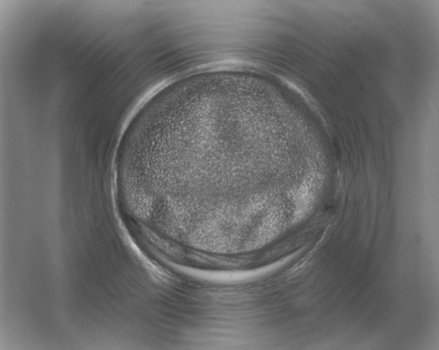 X0000064051418200602171658