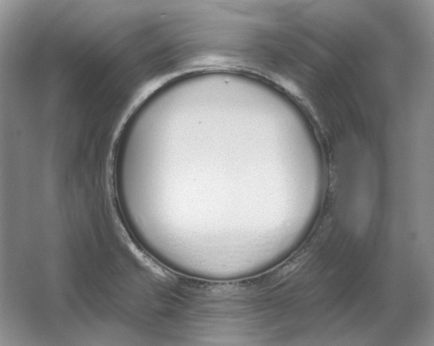 X0000064051421200602171659