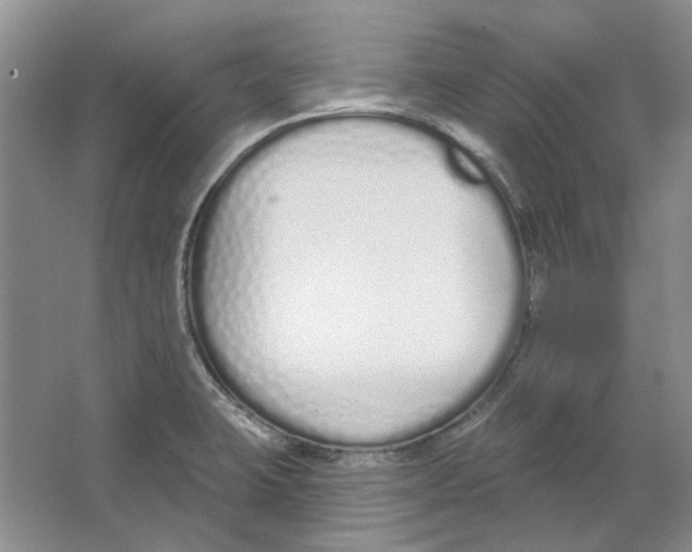 X0000064051423200602171659