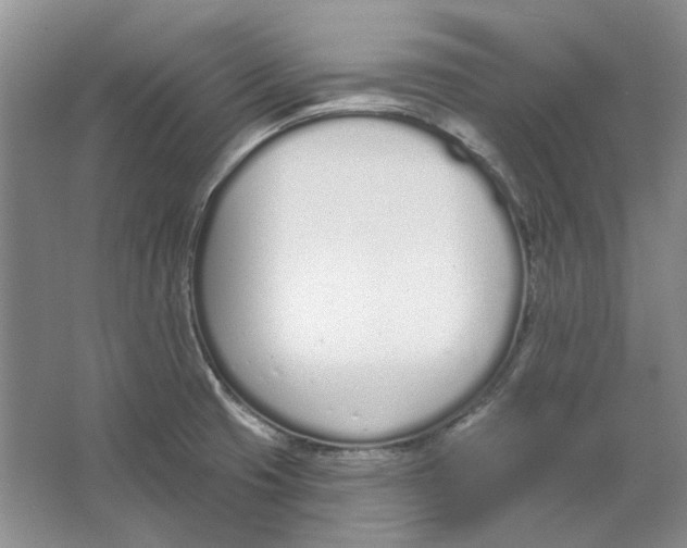 X0000064051425200602171659