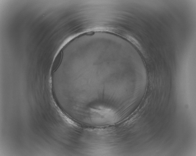 X0000064051428200602171659