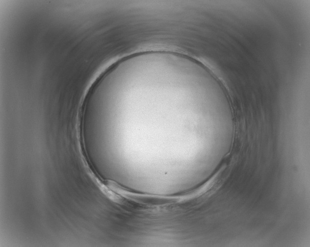 X0000064051438200602171659