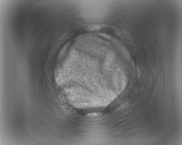 X0000064051441200602171658