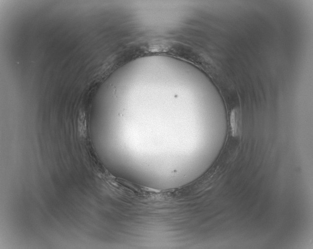 X0000064051443200602171658