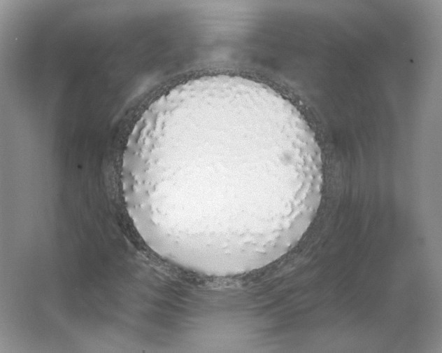 X0000064051446200602171658