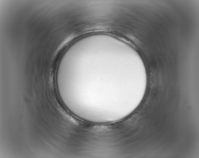 X0000064051450200602171658
