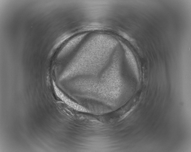 X0000064051453200602171658