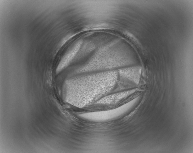X0000064051457200602171658