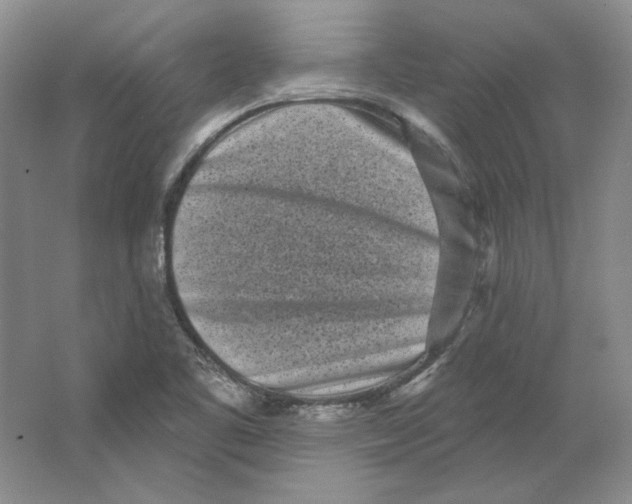 X0000064051461200602171658