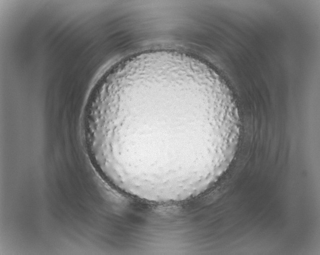 X0000064051466200602171658