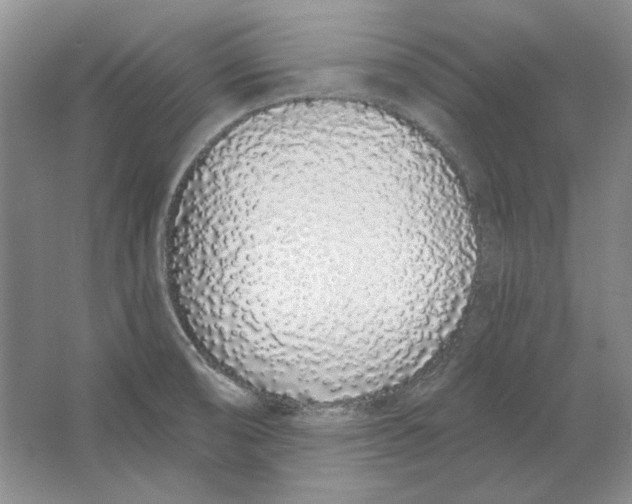 X0000064051474200602171657