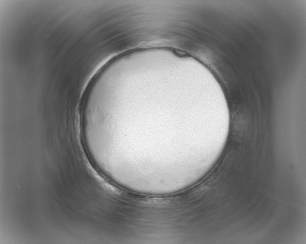 X0000064051476200602171657