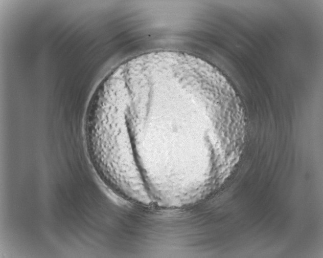 X0000064051482200602171657