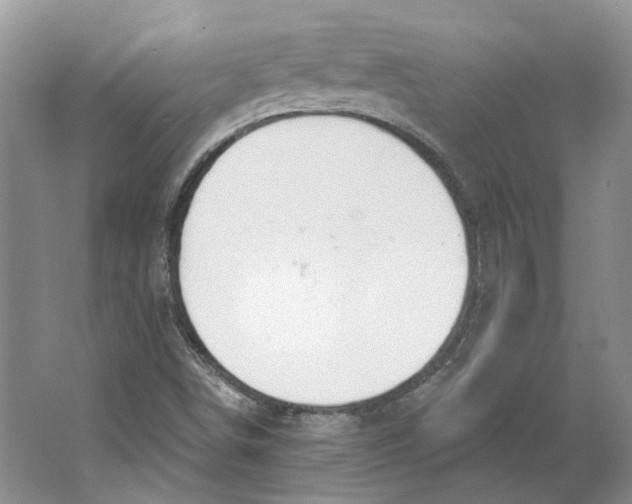 X0000064051498200602171657