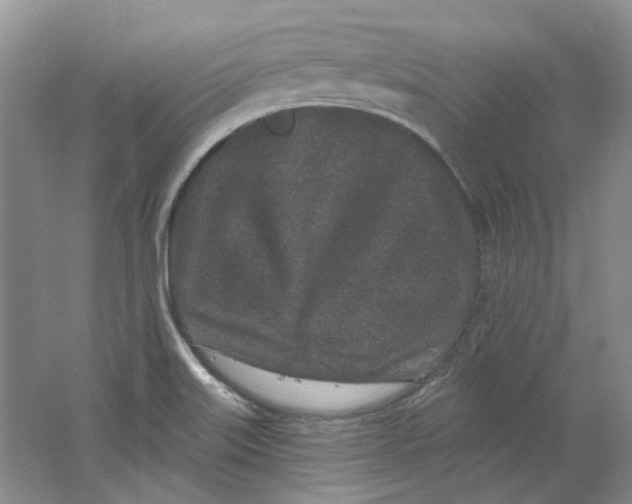 X0000064051515200602171657