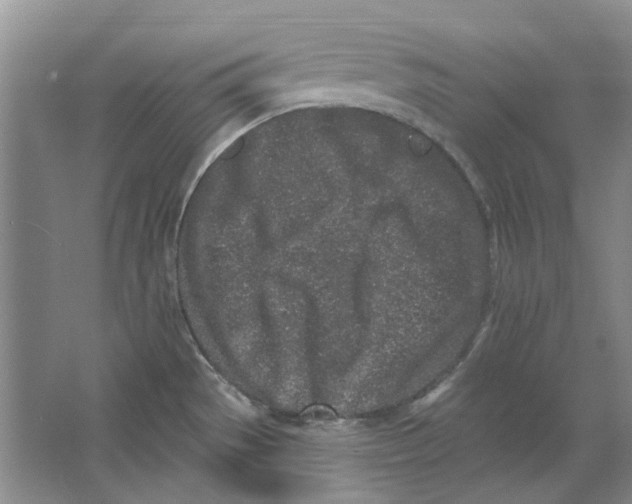 X0000064051529200602171657