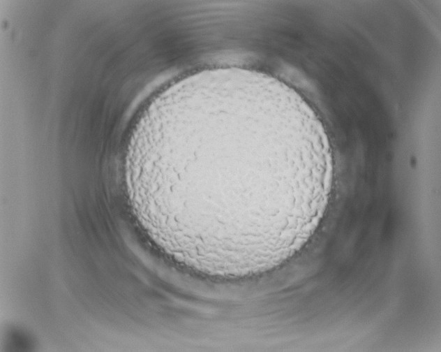X0000064050012200602242357