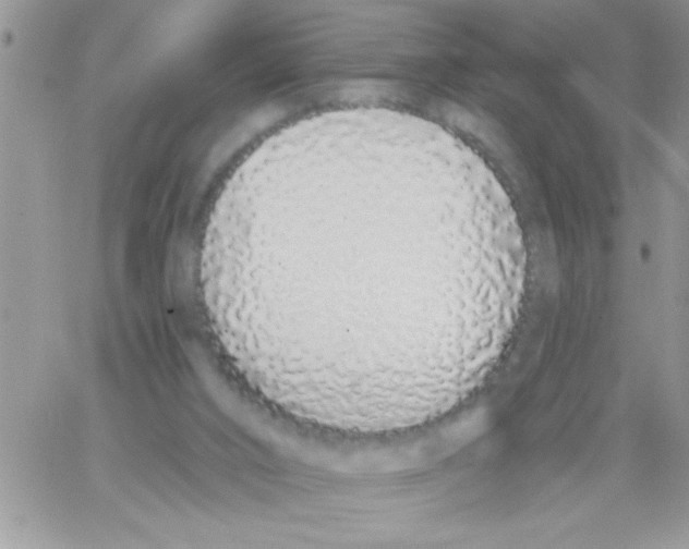 X0000064050016200602242357