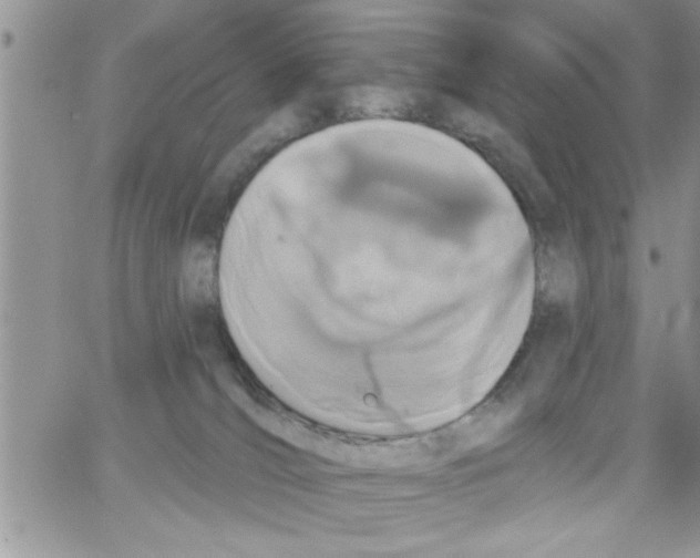 X0000064050036200602242357