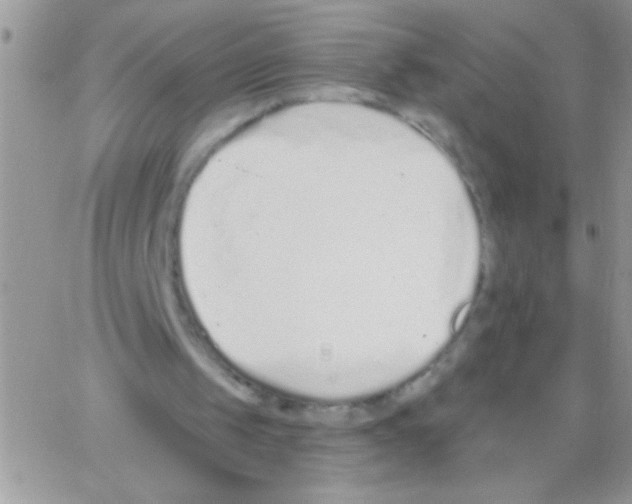 X0000064050049200602242356