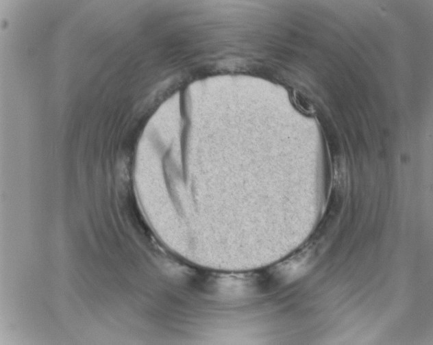 X0000064050127200602242355