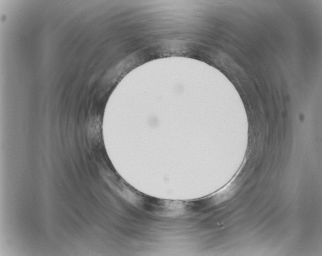 X0000064050144200602242355