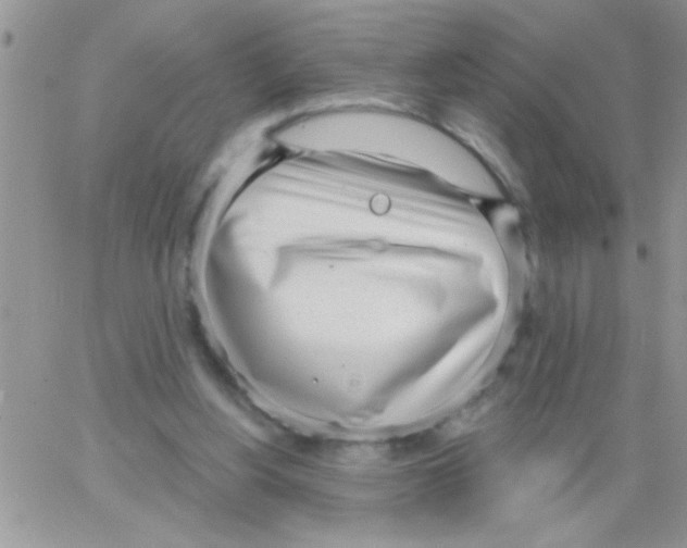 X0000064050156200602242354