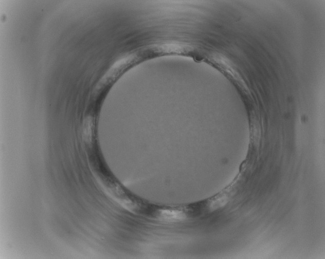 X0000064050167200602242354