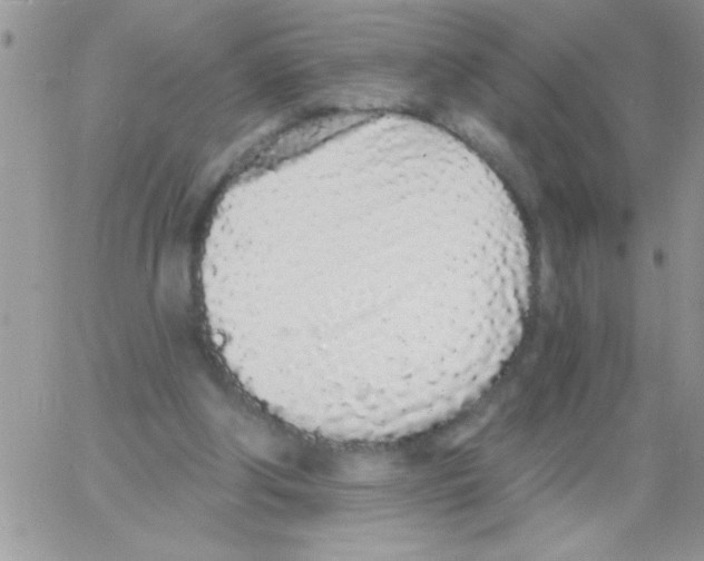 X0000064050202200602242354