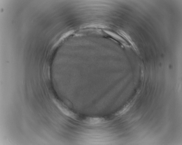 X0000064050205200602242354