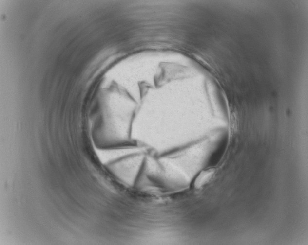 X0000064050243200602242352