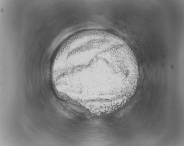 X0000064050247200602242353