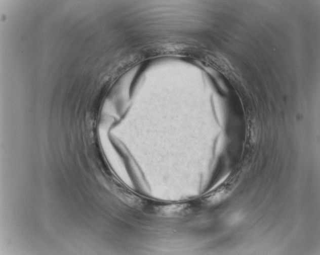 X0000064050366200602242351