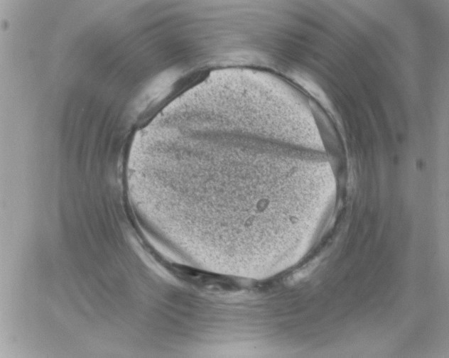X0000064050389200602242351