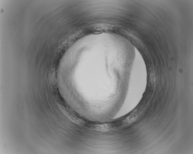 X0000064050411200602242350