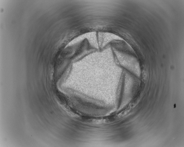 X0000064050458200602242350