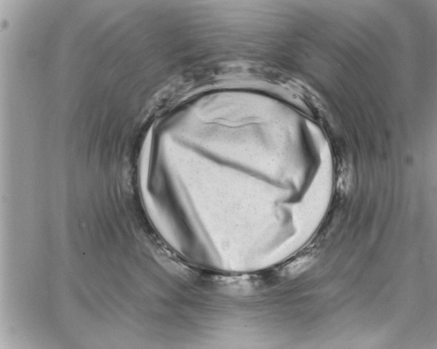 X0000064050524200602242349