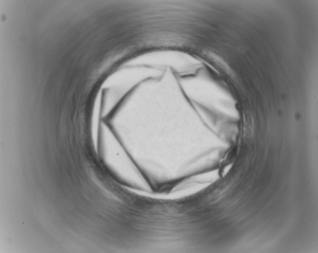 X0000064050627200602242346