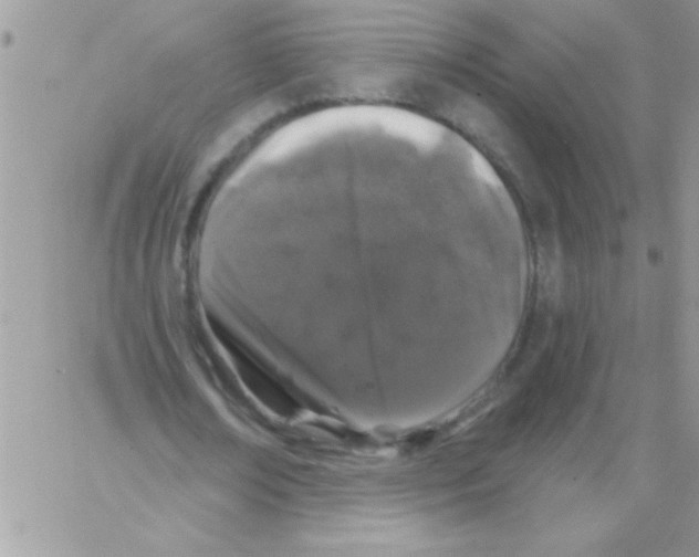 X0000064050674200602242346