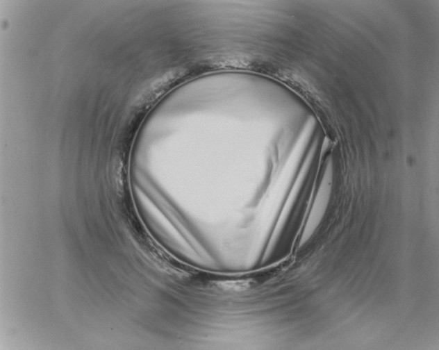X0000064050692200602242346
