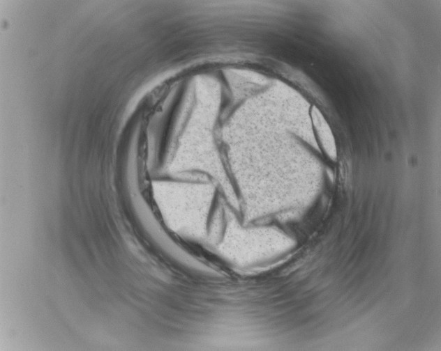 X0000064050724200602242345