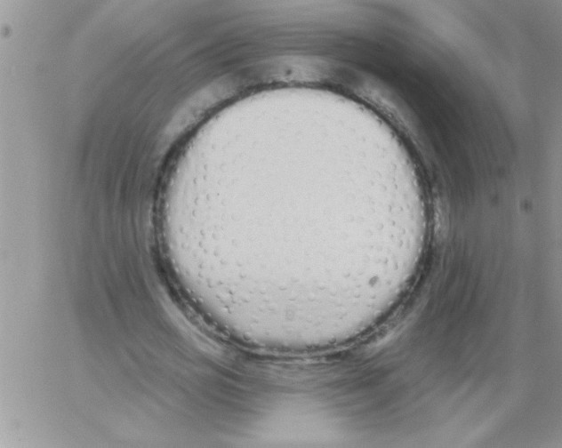 X0000064050725200602242345